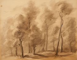  The Arboreal Gateway