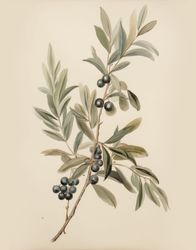 Brushed Strokes of Nature