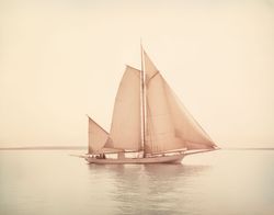 Golden Waters