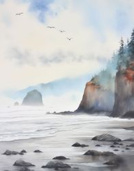Misty Coastal