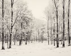 A Path Through Winter