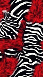 Red Zebra Safari