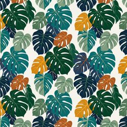 Monstera Bold