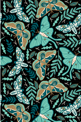 Tropical Butterfiles