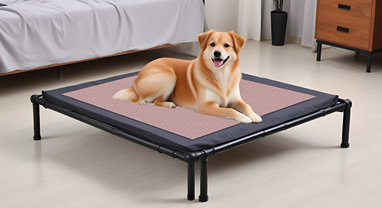 Custom Elevated Pet Bed