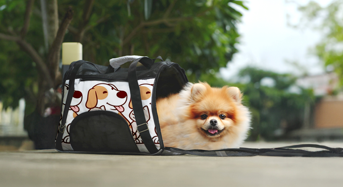 Personalized Pet Carrier Bag